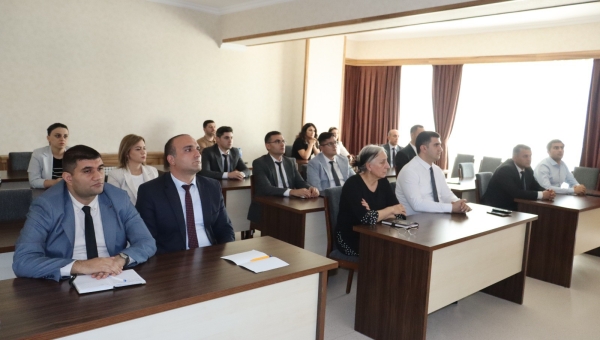 Initial Presentation of the BMIS